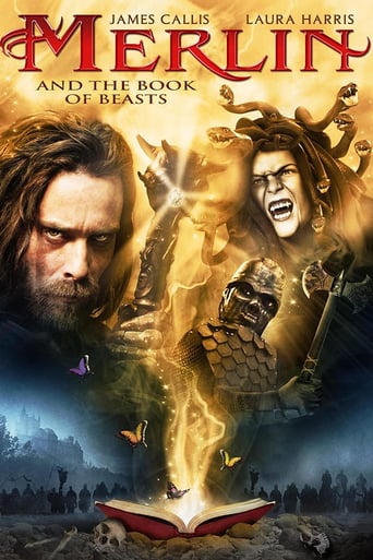 دانلود فیلم Merlin and the Book of Beasts 2009 (مرلین و کتاب هیولاها)