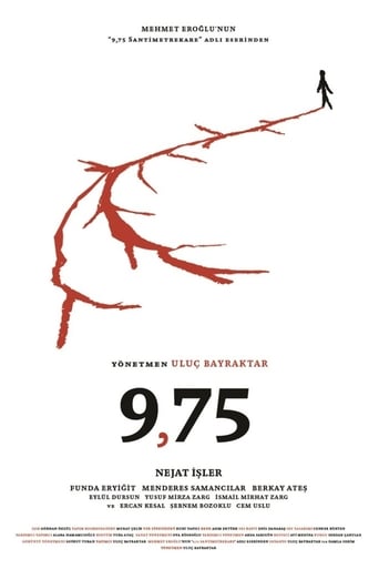 9,75 Santimetrekare 2020