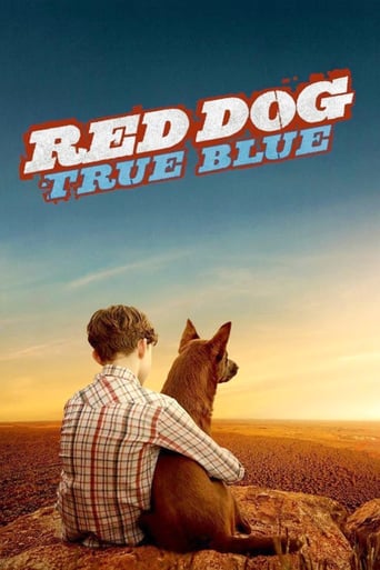دانلود فیلم Red Dog: True Blue 2016 (سگ قرمز : آبی واقعی)