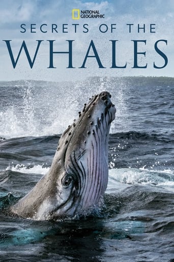 Secrets of the Whales 2021 (اسرار نهنگ ها)
