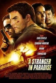 A Stranger in Paradise 2013 (یک غریبه در بهشت)