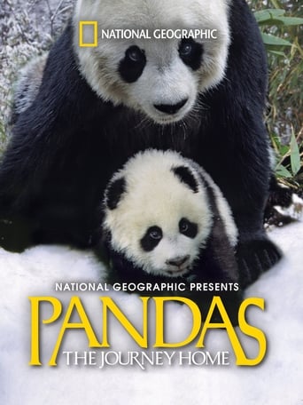 دانلود فیلم Pandas: The Journey Home 2014 (پاندا: بازگشت به خانه)