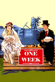 دانلود فیلم One Week 1920 (یک هفته)