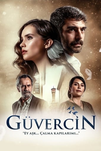 The Pigeon 2019 (کبوتر)