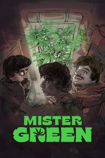 Mister Green 2024
