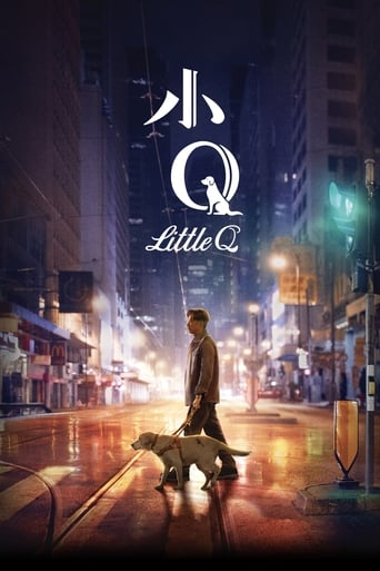 Little Q 2019 (کیو کوچولو )
