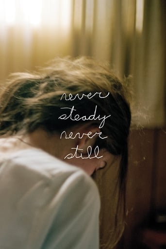 Never Steady, Never Still 2017 (نه آرام، نه ساکن)