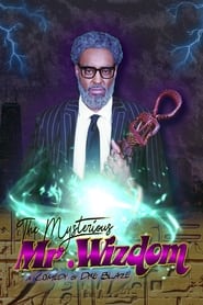 The Mysterious Mr. Wizdom 2020 (آقای ویزدوم مرموز)