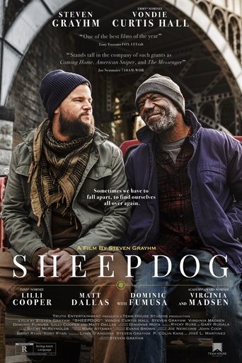 Sheepdog 2024