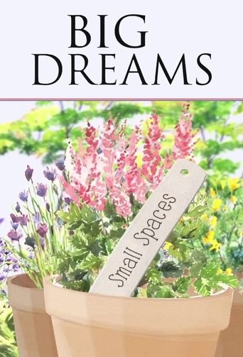Big Dreams Small Spaces 2014 (رویاهای بزرگ فضاهای کوچک )