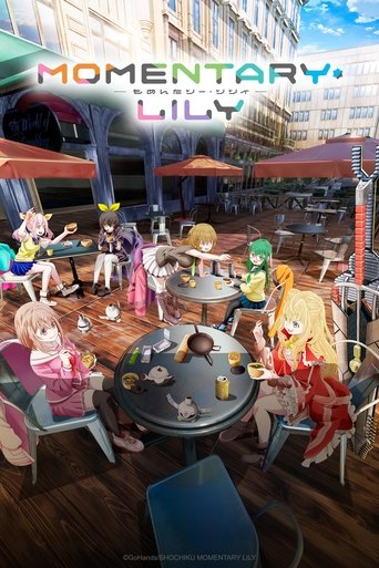 Momentary Lily 2025