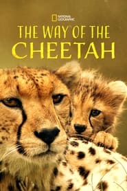 The Way of the Cheetah 2022 ("هفته گربه بزرگ" راه یوزپلنگ)