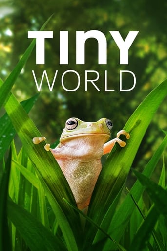 Tiny World 2020 (دنیای کوچک)