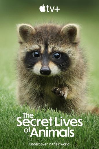 The Secret Lives of Animals 2024 (زندگی‌های پنهان حیوانات)