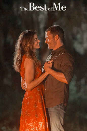 The Best of Me 2014 (بهترین من)