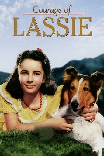 دانلود فیلم Courage of Lassie 1946 (شجاعت لاسی)