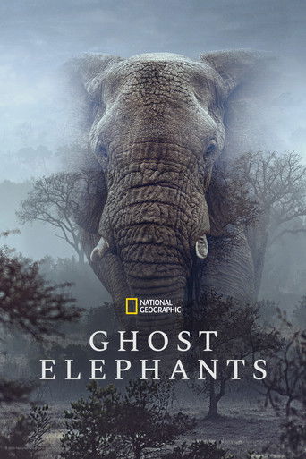 دانلود فیلم Ghost Elephants 2025