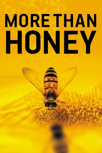 دانلود فیلم More Than Honey 2012 ( فراتر از عسل)