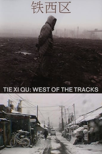 Tie Xi Qu: West of the Tracks 2002