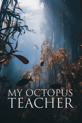My Octopus Teacher 2020 (معلم اختاپوس من)