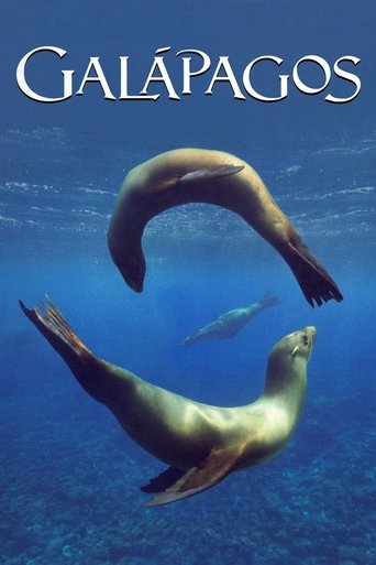 دانلود سریال Galapagos 2006