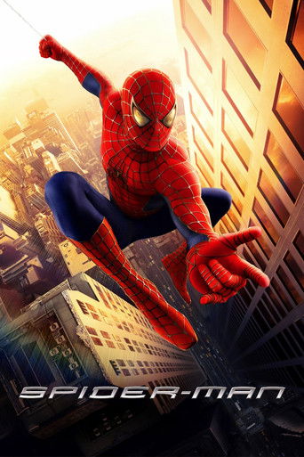 Spider-Man 2002 (مرد عنکبوتی)