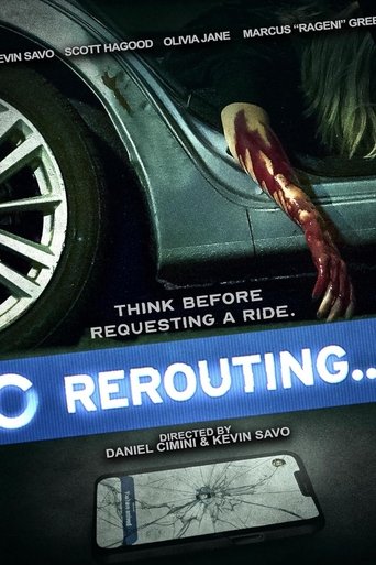 Rerouting 2024