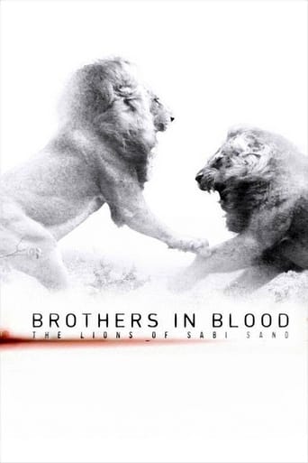 دانلود فیلم Brothers in Blood: The Lions of Sabi Sand 2015 (برادران خونی: شیرهای سابی ساند)