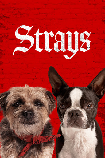 Strays 2023 (گمراه ها)