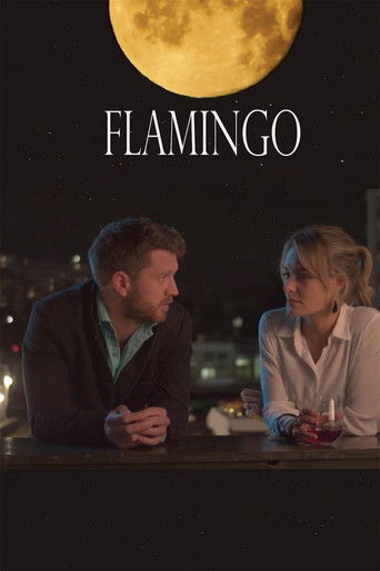 Flamingo 2020