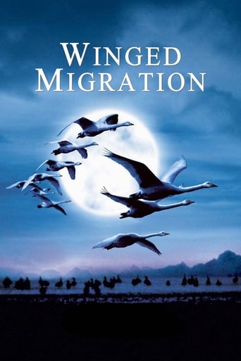 دانلود فیلم Winged Migration 2001 (مهاجرت پرندگان)