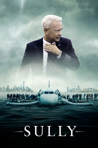 Sully 2016 (سالی)