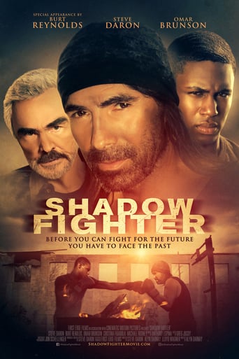 Shadow Fighter 2017 (مبارز سایه ها)