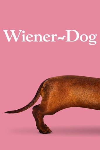 Wiener-Dog 2016 (سگ-سوسیسی)