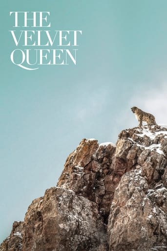 The Velvet Queen 2021 (ملکه مخملی)