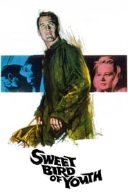 دانلود فیلم Sweet Bird of Youth 1962 (پرنده شیرین جوانی)