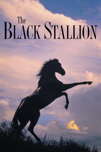 The Black Stallion 1979