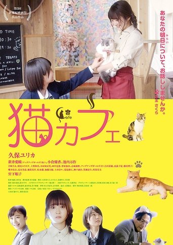 Cat Cafe 2018