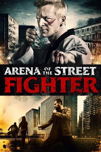 Arena of the Street Fighter 2012 (جنگنده شهری)