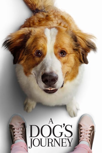 A Dog's Journey 2019 (سفر یک سگ)