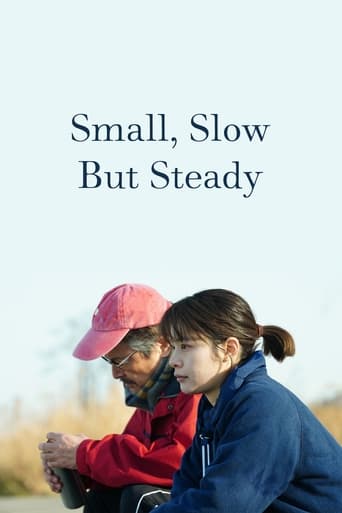 Small, Slow But Steady 2022 (کوچک ، آهسته اما ثابت)