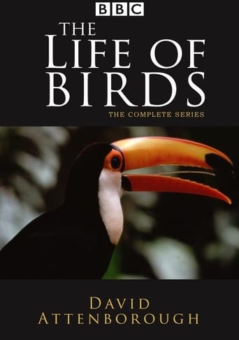 The Life of Birds 1998 (زندگی پرندگان)
